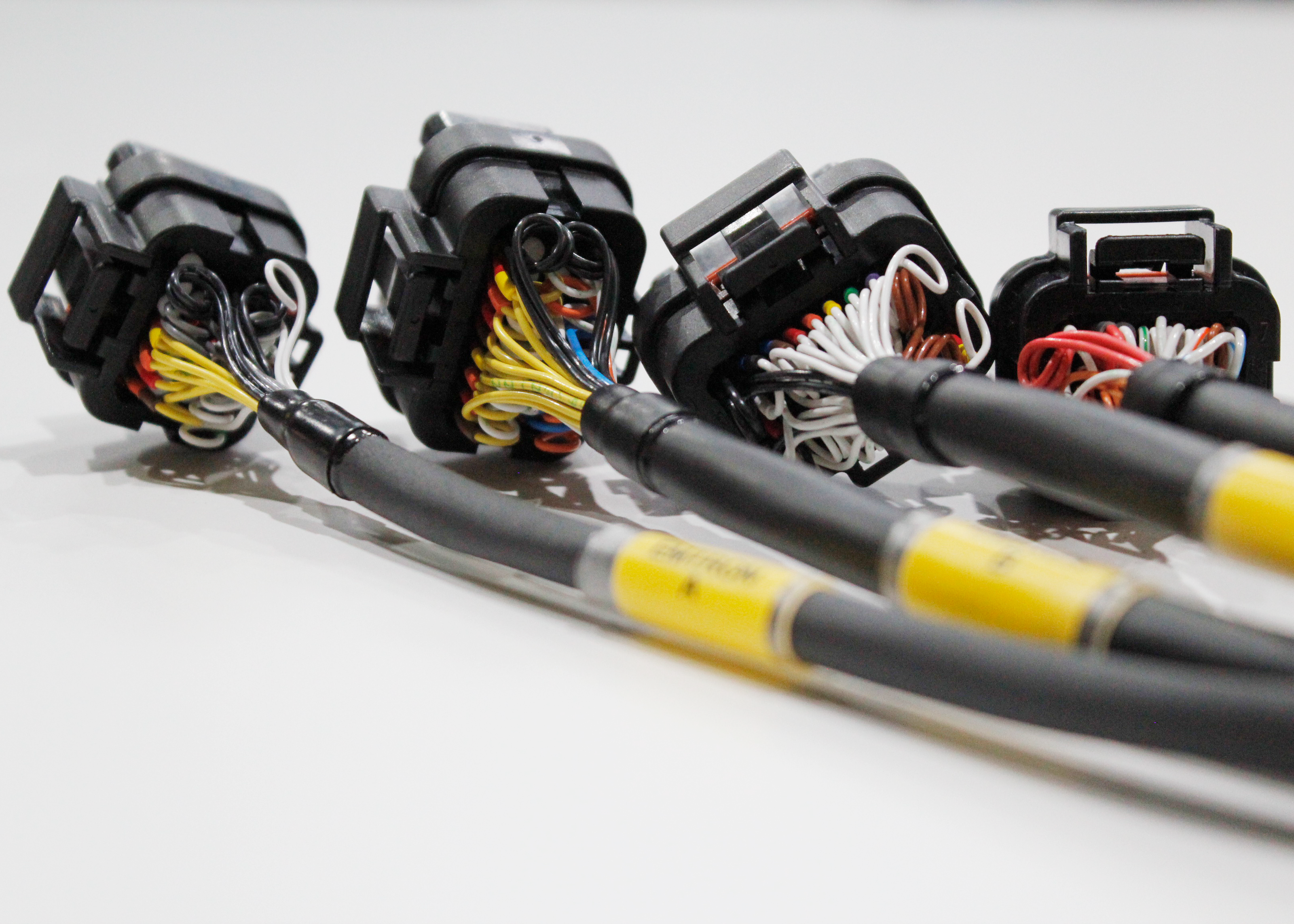 motorsport wiring EMtron wiring harness PE Racing engineering auto electrician 